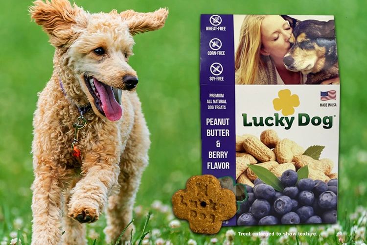 Lucky Dog® Treats AllNatural Dog Treats